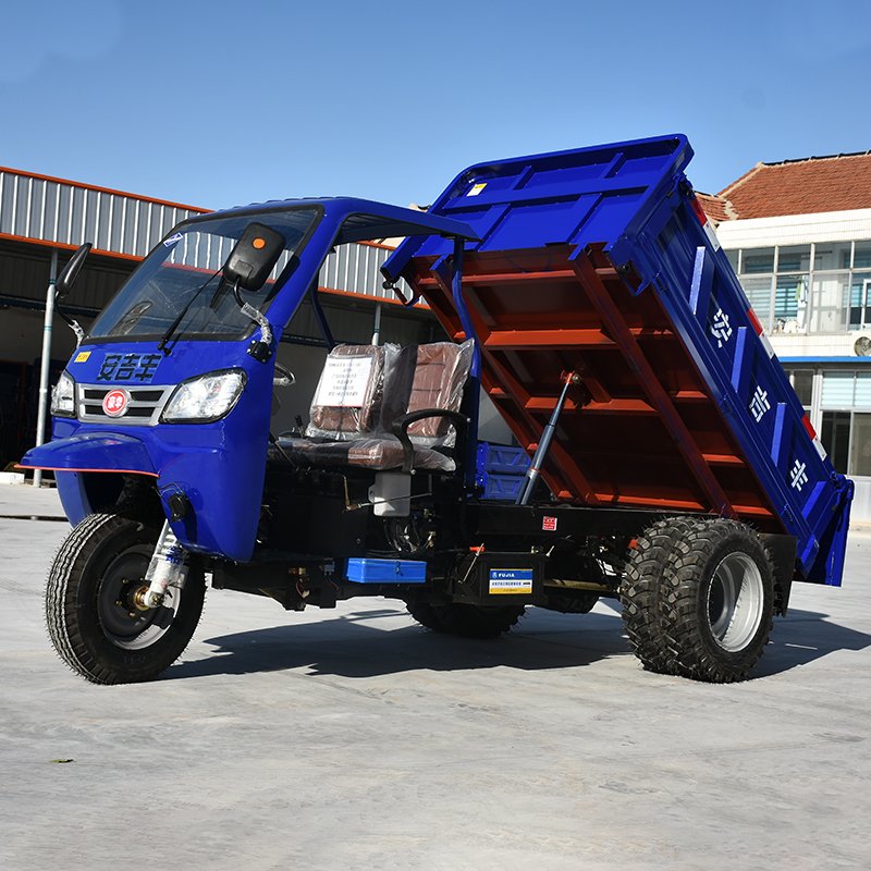 Truck Agricultural Cargo Mini 3-wheel for Axle Dumper Adults Platform 3000kgs Factory Motor Cart Cheap Big Cabin Cargo Tricycle