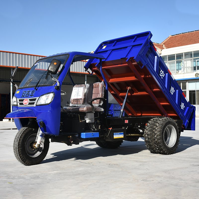 Truck Agricultural Cargo Mini 3-wheel for Axle Dumper Adults Platform 3000kgs Factory Motor Cart Cheap Big Cabin Cargo Tricycle