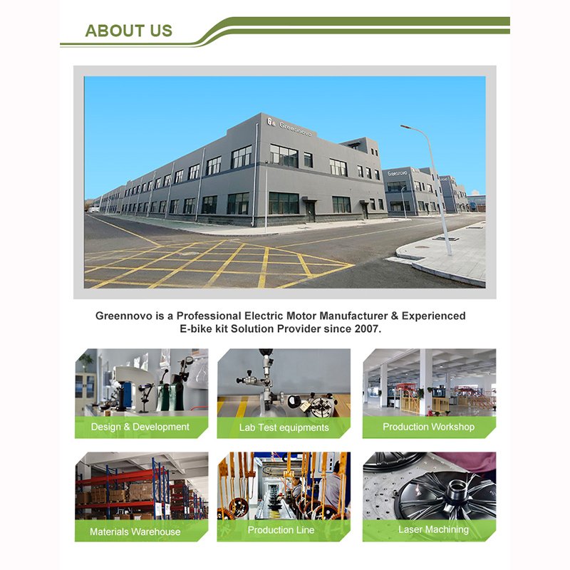 Factory Direct Sales E Bike Made in China Storage Electric Bicycle Battery Adult Electric Scooters City Bike Motorcycle