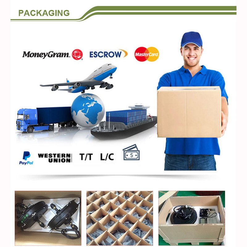 Factory Direct Sales E Bike Made in China Storage Electric Bicycle Battery Adult Electric Scooters City Bike Motorcycle