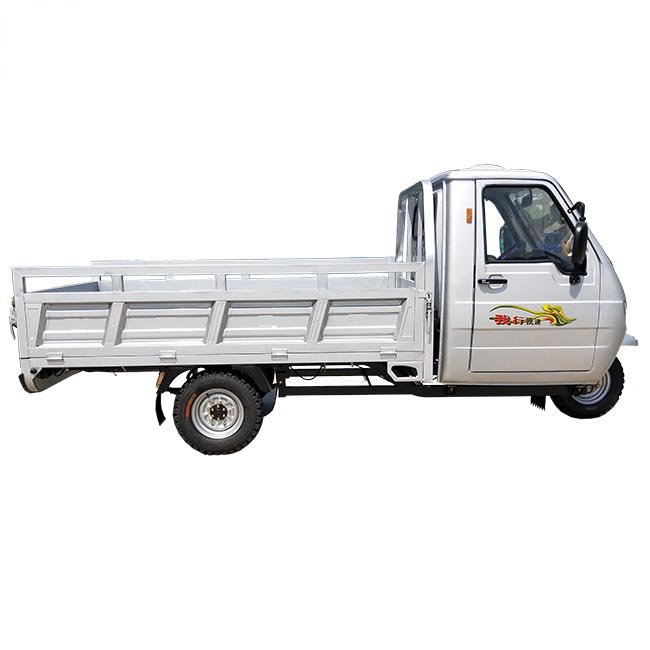 Hot Selling Electric Tricycle 3 Wheel Ev High Loading Capacity Cargo Tricycle for Eu Market China