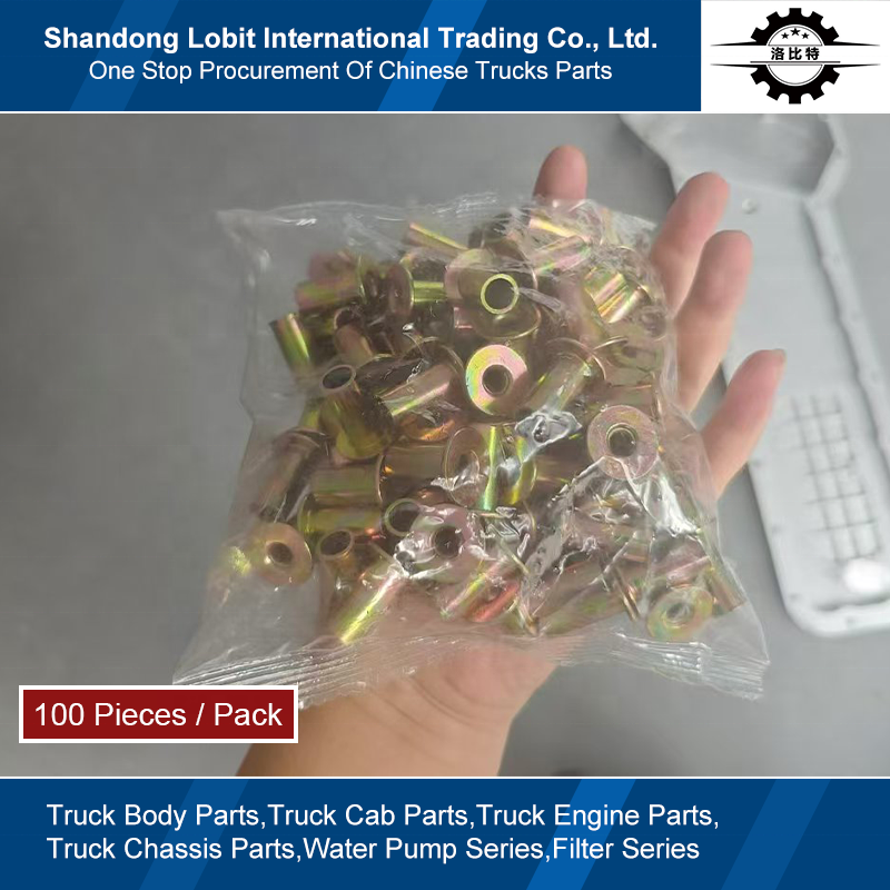 Sinotruk HOWO T5G T7H SITRAK C7H Truck MCP16 Drive Axle Parts Brake Shoe Rivet Brake Pad Rivet Brake Lining Rivets WG9231340068