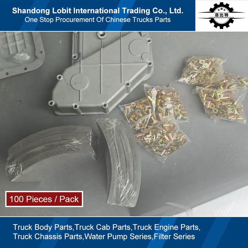 Sinotruk HOWO T5G T7H SITRAK C7H Truck MCP16 Drive Axle Parts Brake Shoe Rivet Brake Pad Rivet Brake Lining Rivets WG9231340068