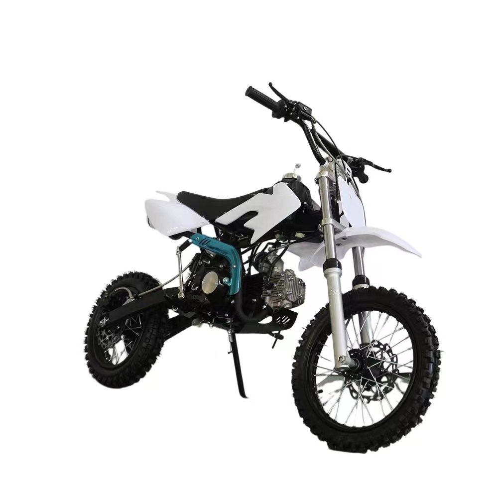 125cc Dirt Bike 125cc Pit Bike