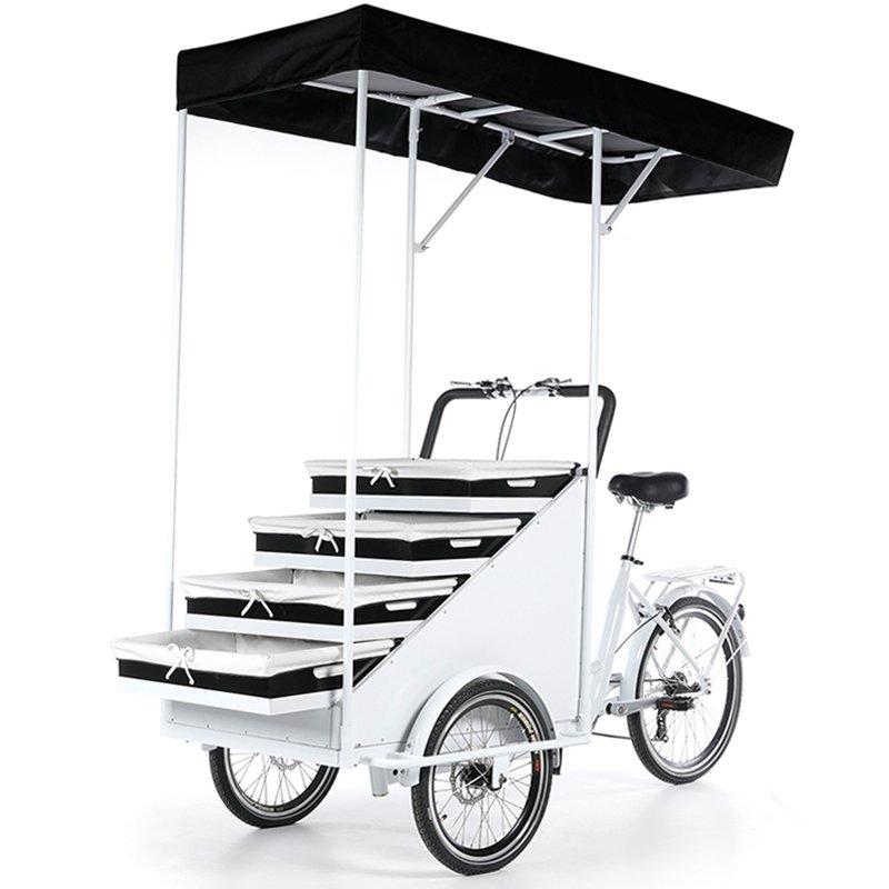 Electric Tricycle Food Cart Outdoor Vending Tricycle Flower Delivery 3 Wheel Bicycle
