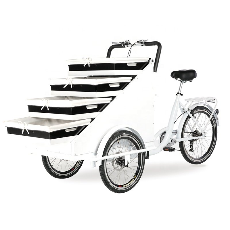 Electric Tricycle Food Cart Outdoor Vending Tricycle Flower Delivery 3 Wheel Bicycle
