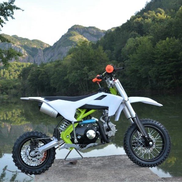 2018 New Arrival 125CC Racing Dirt Bike Pit Bike for Sale