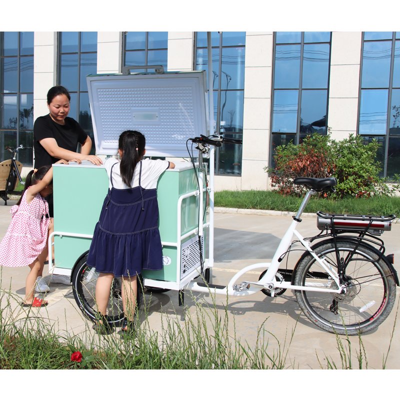 Three Wheels Electric Ice Cream Cart Bike with Sunshade Refrigerator Bikes Cold Drinks Selling Tricycles