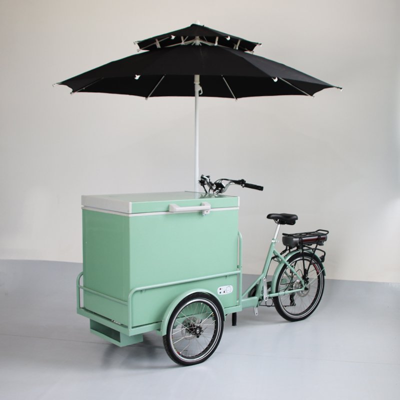 Three Wheels Electric Ice Cream Cart Bike with Sunshade Refrigerator Bikes Cold Drinks Selling Tricycles