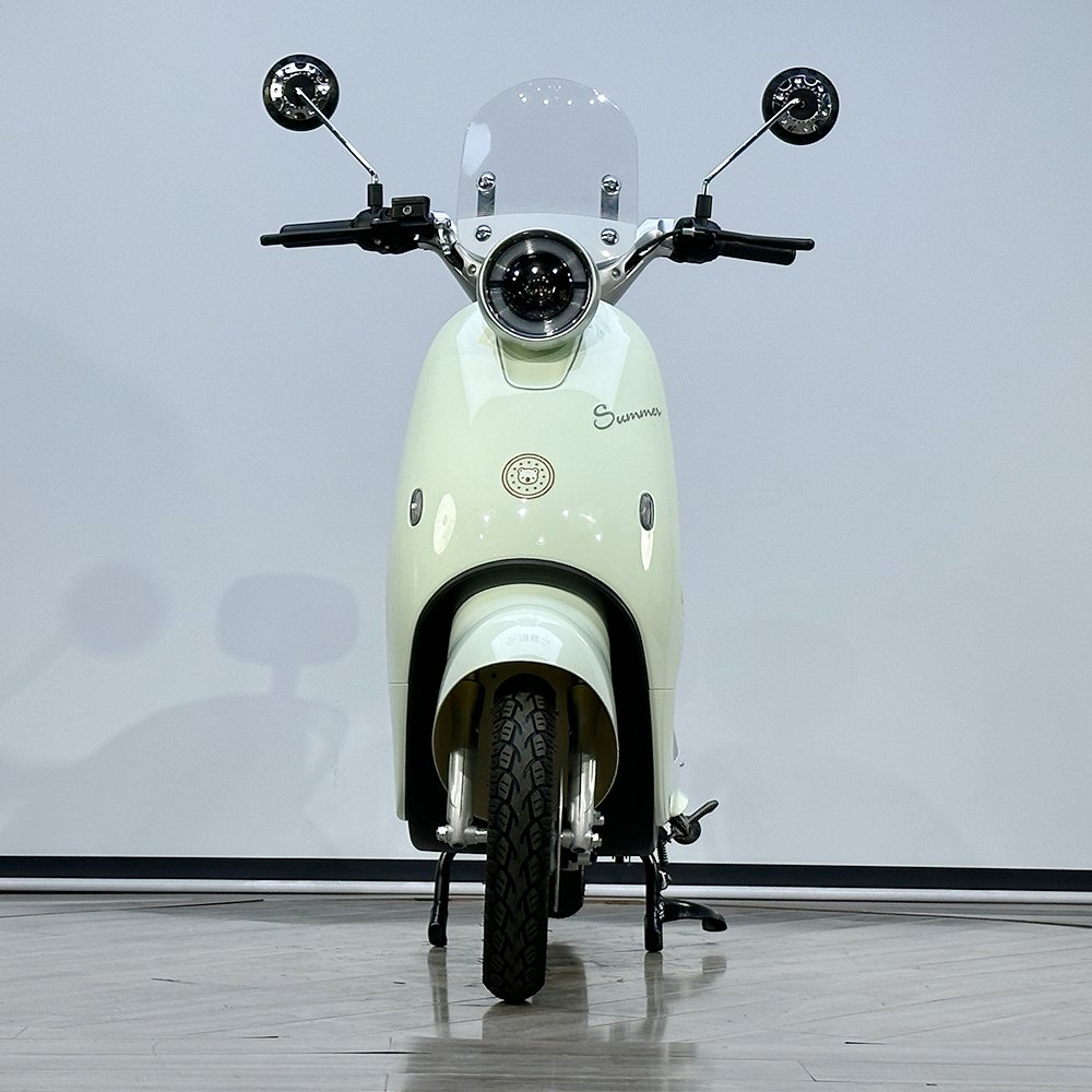 Fashionable Scooter Electric Adult Fast Electric Motorcycle 1000W With Disk Brake Electric Moped Women's E-Bicycle