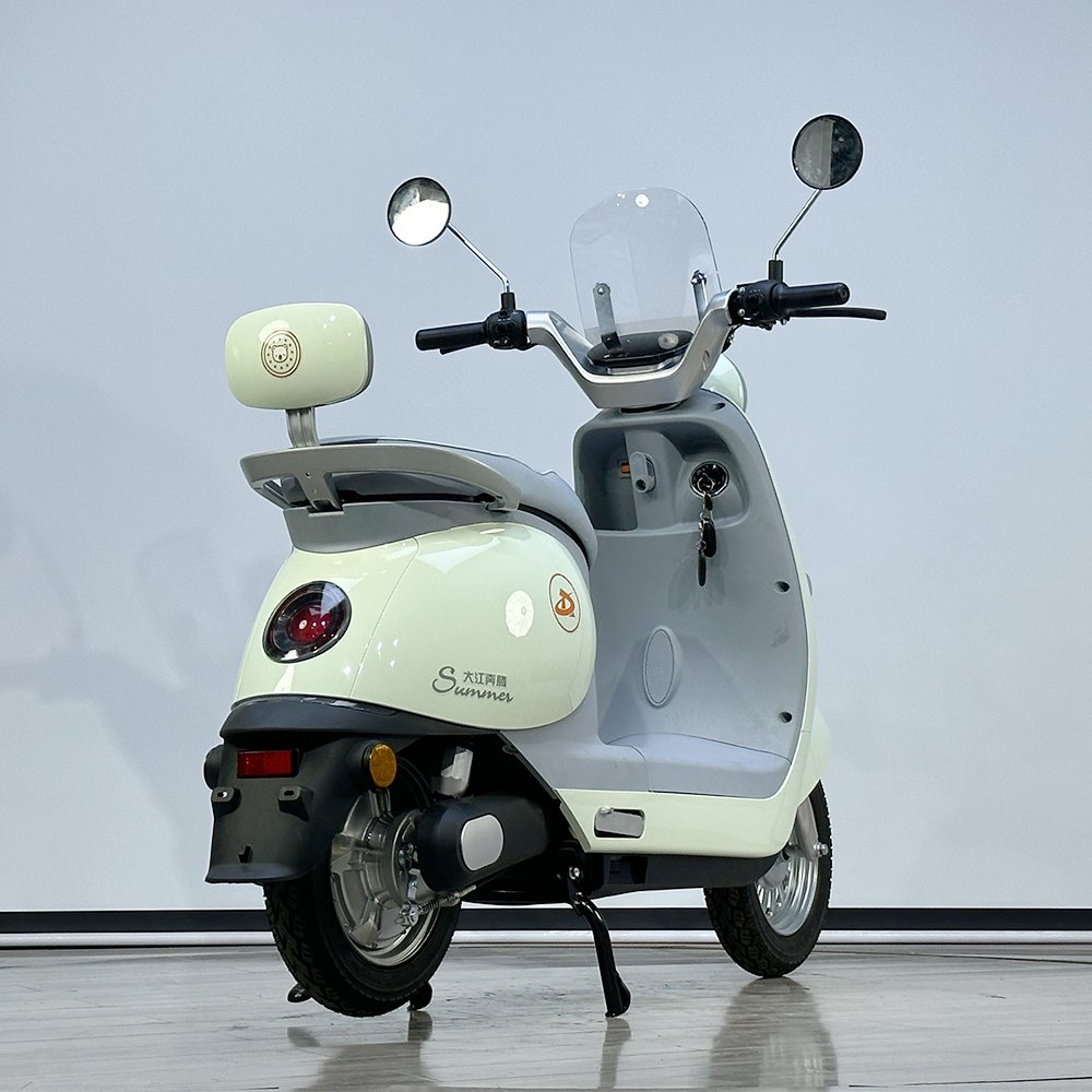 Fashionable Scooter Electric Adult Fast Electric Motorcycle 1000W With Disk Brake Electric Moped Women's E-Bicycle