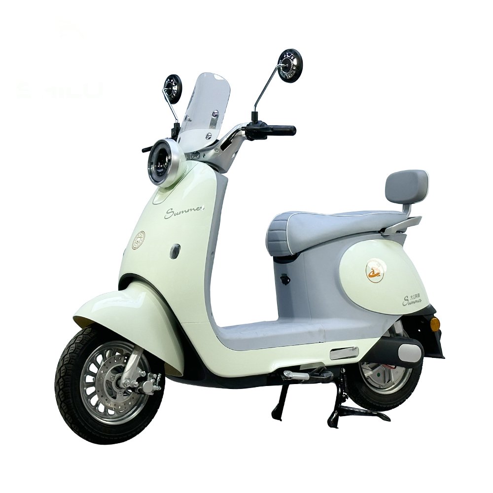 Fashionable Scooter Electric Adult Fast Electric Motorcycle 1000W With Disk Brake Electric Moped Women's E-Bicycle