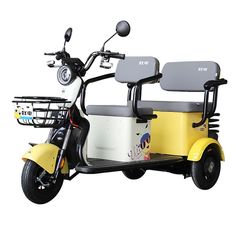 Hot Sales 3 Wheels Electric Tricycles Other Scooters Tuk Tuk Petrol with Lead Acid Battery