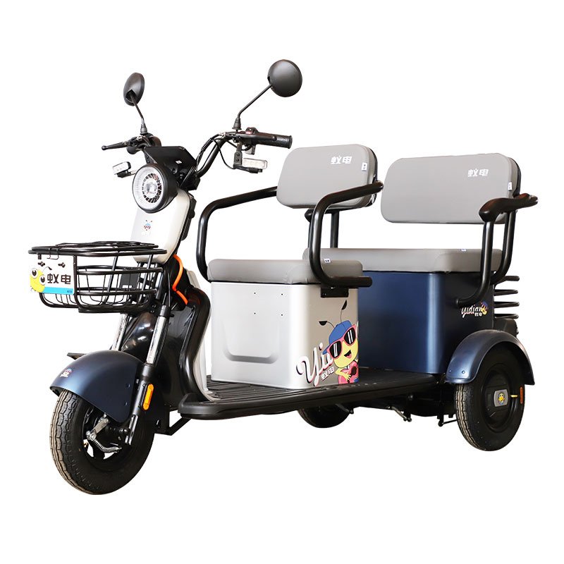 Hot Sales 3 Wheels Electric Tricycles Other Scooters Tuk Tuk Petrol with Lead Acid Battery