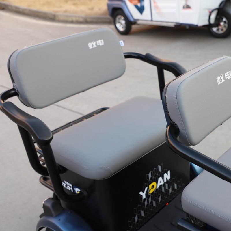 Hot Sales 3 Wheels Electric Tricycles Other Scooters Tuk Tuk Petrol with Lead Acid Battery
