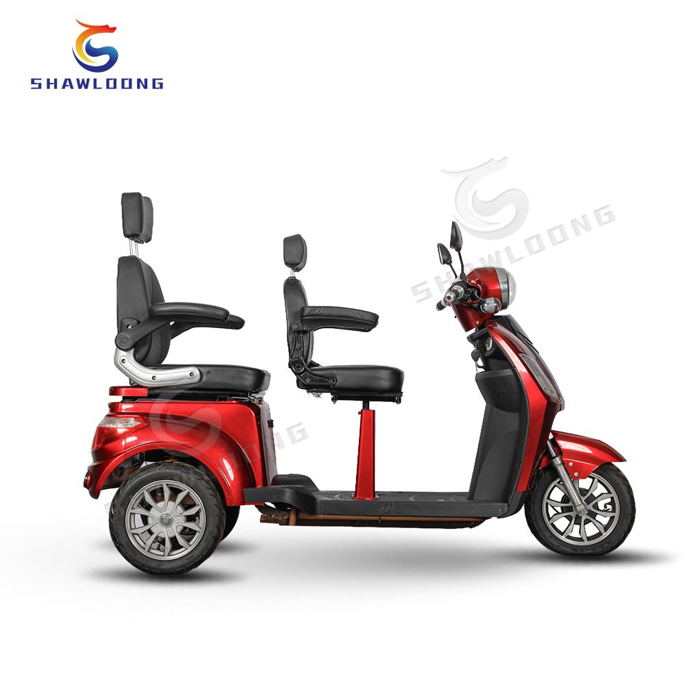 Electric Bikes Cargo Bicycle for Food Delivery Cat Tricycle Ct Transformer C1 Electric Tricycles and Cats for Adults LED 500W