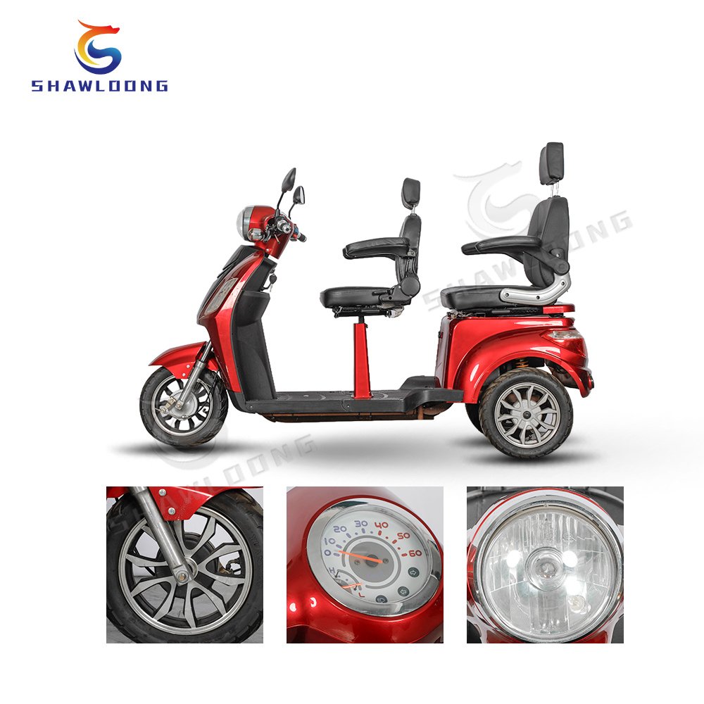 Electric Bikes Cargo Bicycle for Food Delivery Cat Tricycle Ct Transformer C1 Electric Tricycles and Cats for Adults LED 500W