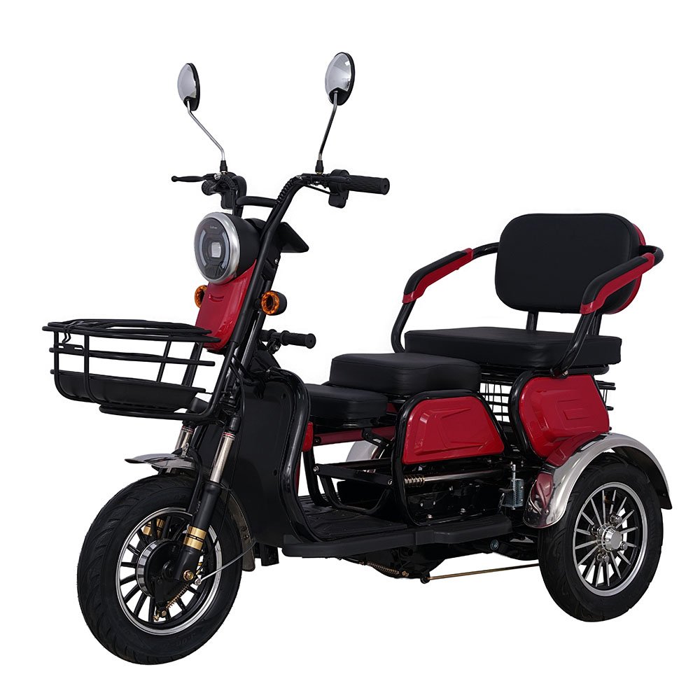 High Performance 48V 60A 12-Pipe Electric Bike Electric Tricycles Cars E-Trikes