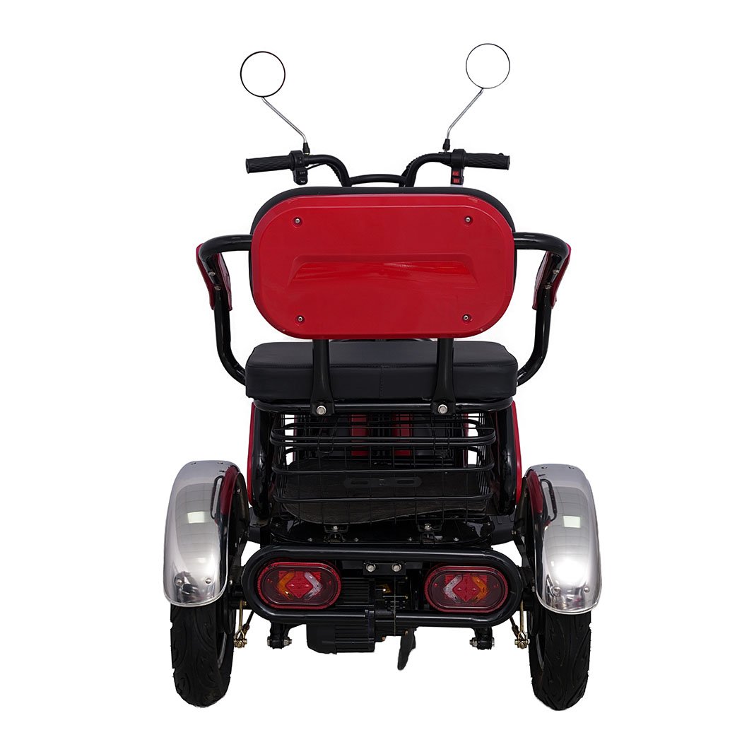 High Performance 48V 60A 12-Pipe Electric Bike Electric Tricycles Cars E-Trikes
