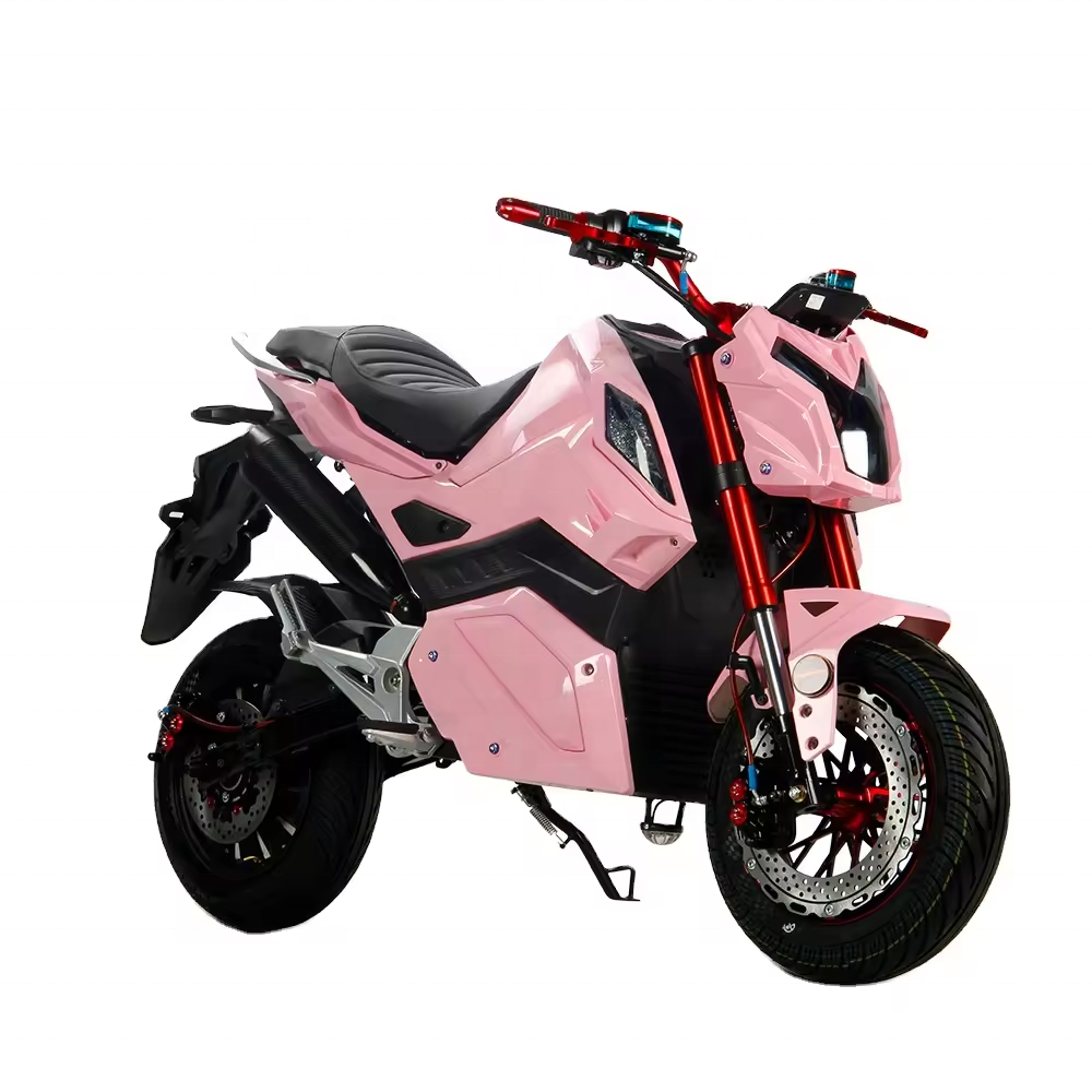 2024 New Models Two Wheeled Electric Motorcycle Cool Appearance With Audio System