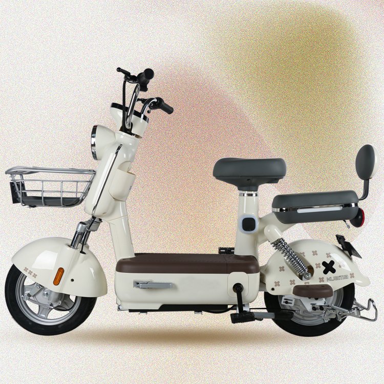 New Model Fashion 2 Wheel 400W Brushless Motor 48V 20ah Electric Bike Low Step Electric Bicycle for Adult