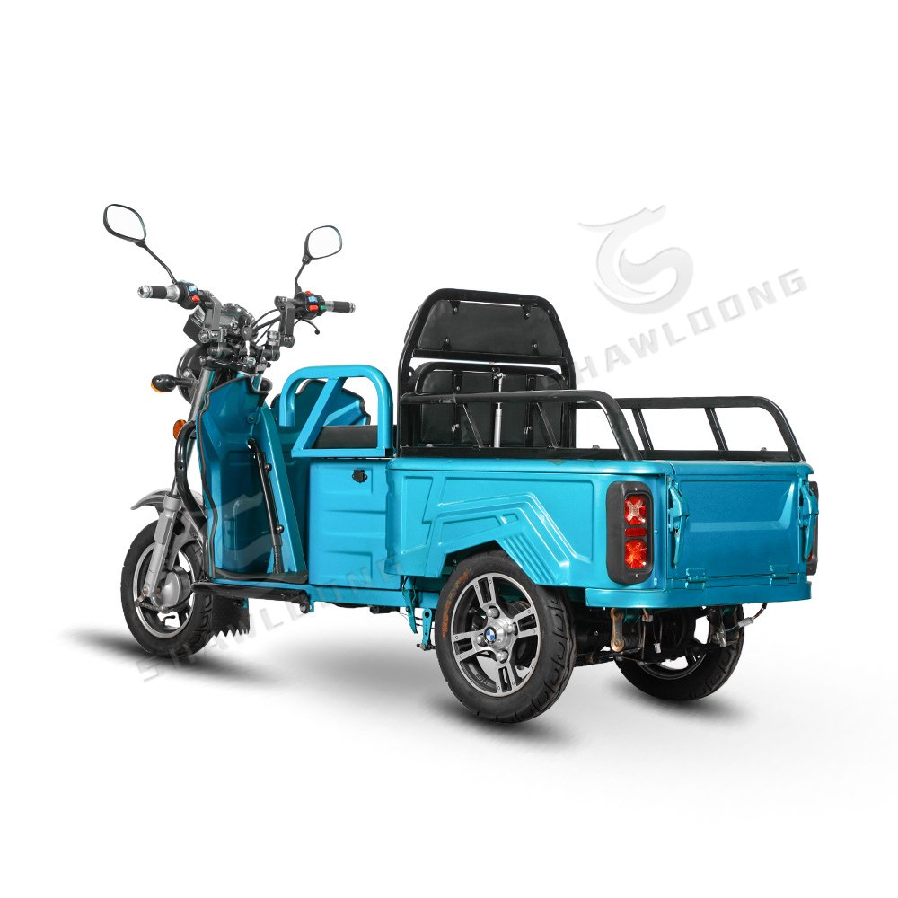 Cheap Price 350W 36V Cargo E Bike 3 Wheels Delivery Bike Electric Cargo Bike for Adults