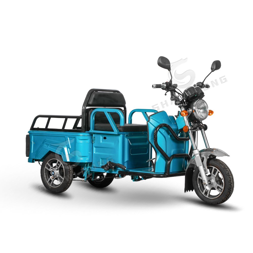 Cheap Price 350W 36V Cargo E Bike 3 Wheels Delivery Bike Electric Cargo Bike for Adults