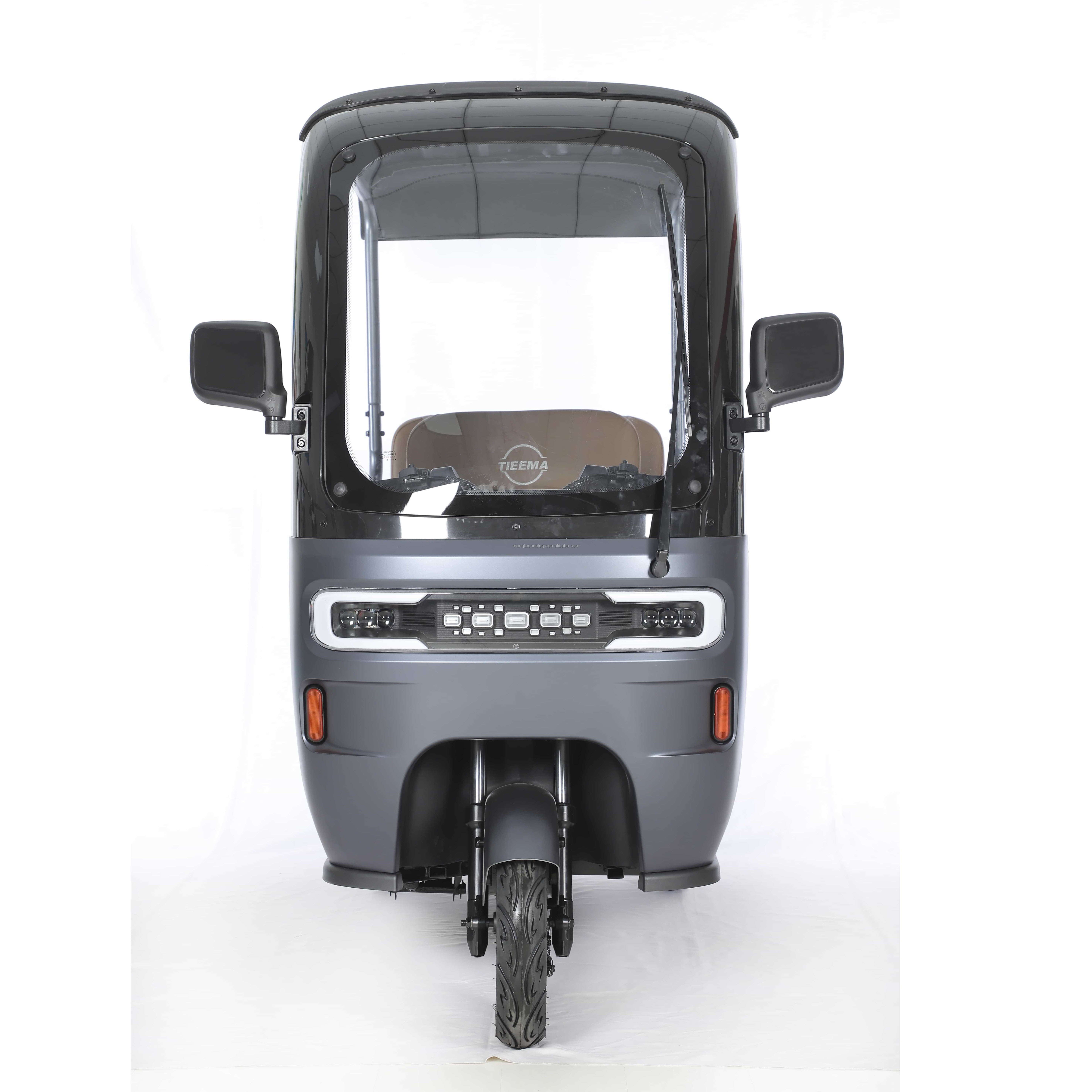 Tricyle Factory Electric Tricycle for Teenagers 800w
