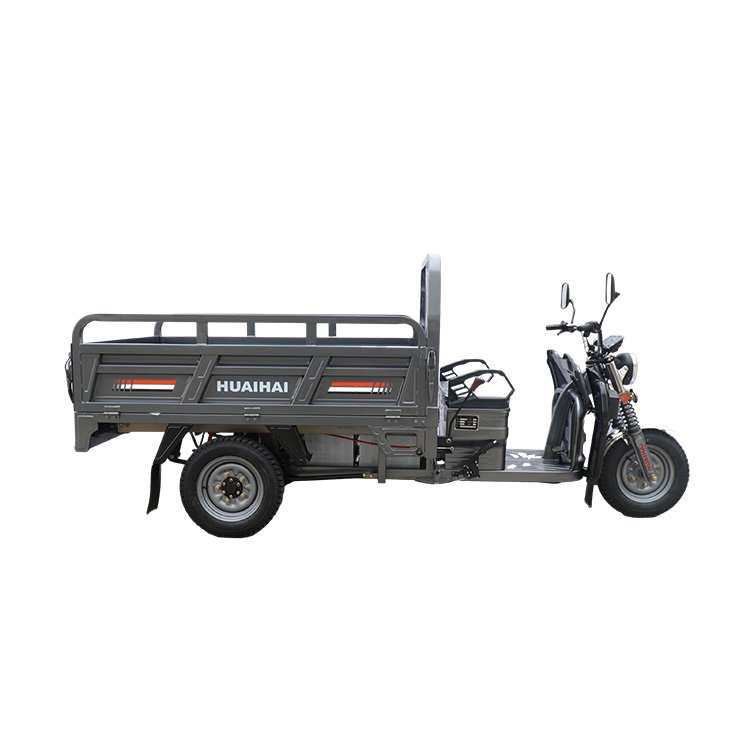 China-Made 1000W Electric Cargo Rickshaw Trike Low Motor Price Ghana Closed Body for Adult Passenger Use