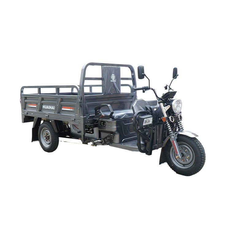 China-Made 1000W Electric Cargo Rickshaw Trike Low Motor Price Ghana Closed Body for Adult Passenger Use