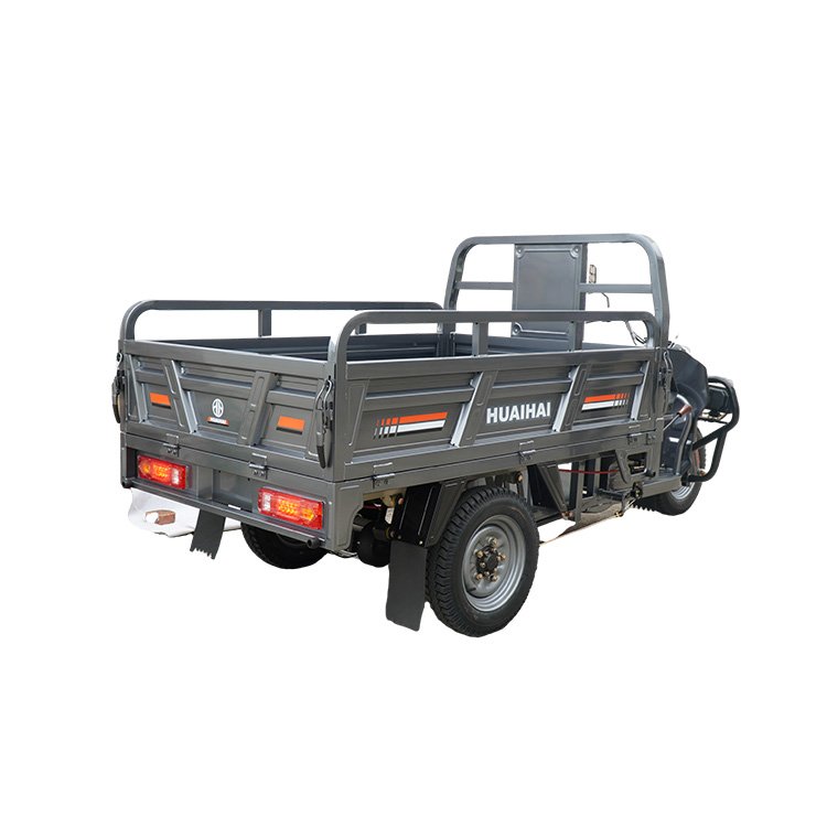 China-Made 1000W Electric Cargo Rickshaw Trike Low Motor Price Ghana Closed Body for Adult Passenger Use