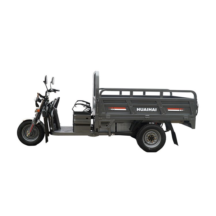 China-Made 1000W Electric Cargo Rickshaw Trike Low Motor Price Ghana Closed Body for Adult Passenger Use