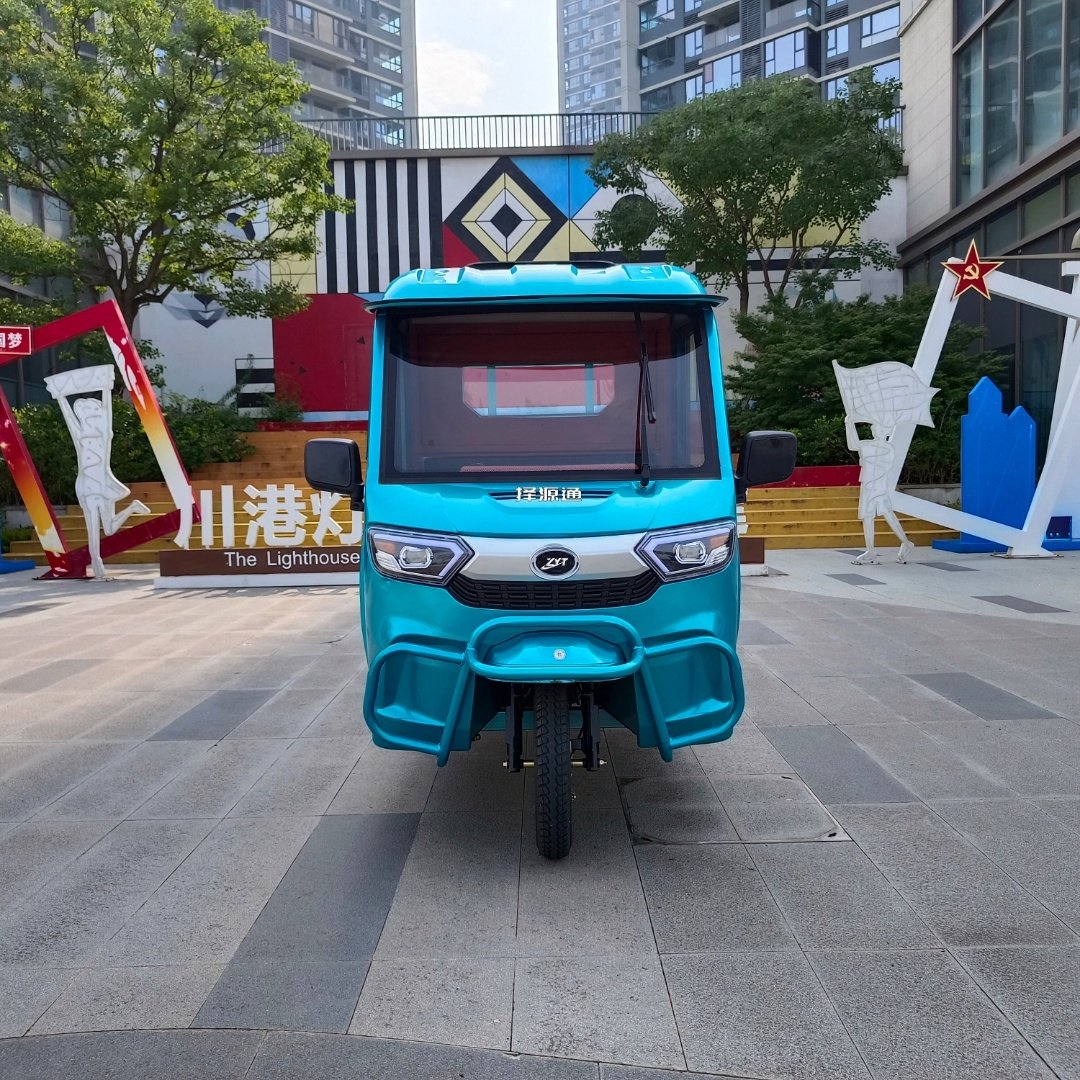 Manufacturer Direct Sale New 1200W Electric Tricycle Cargo Three-Wheeled Motorcycle