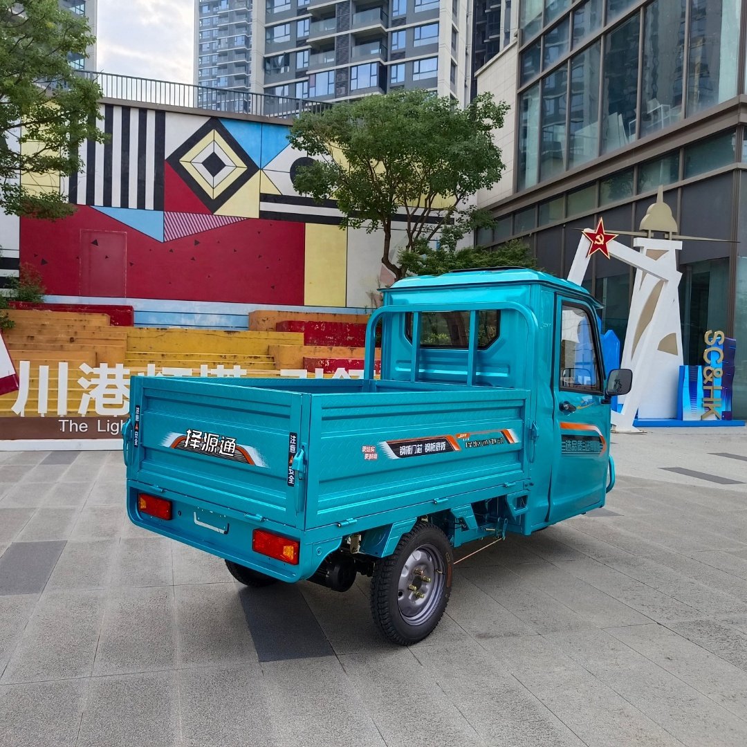 Manufacturer Direct Sale New 1200W Electric Tricycle Cargo Three-Wheeled Motorcycle