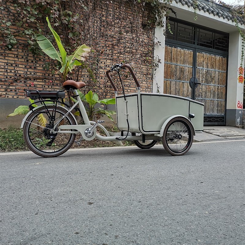 Electric Passenger Tricycle Cargo Trike with Four Seats New Three Wheel Adult Car Fashionable Leisure Electric Cargo Trike