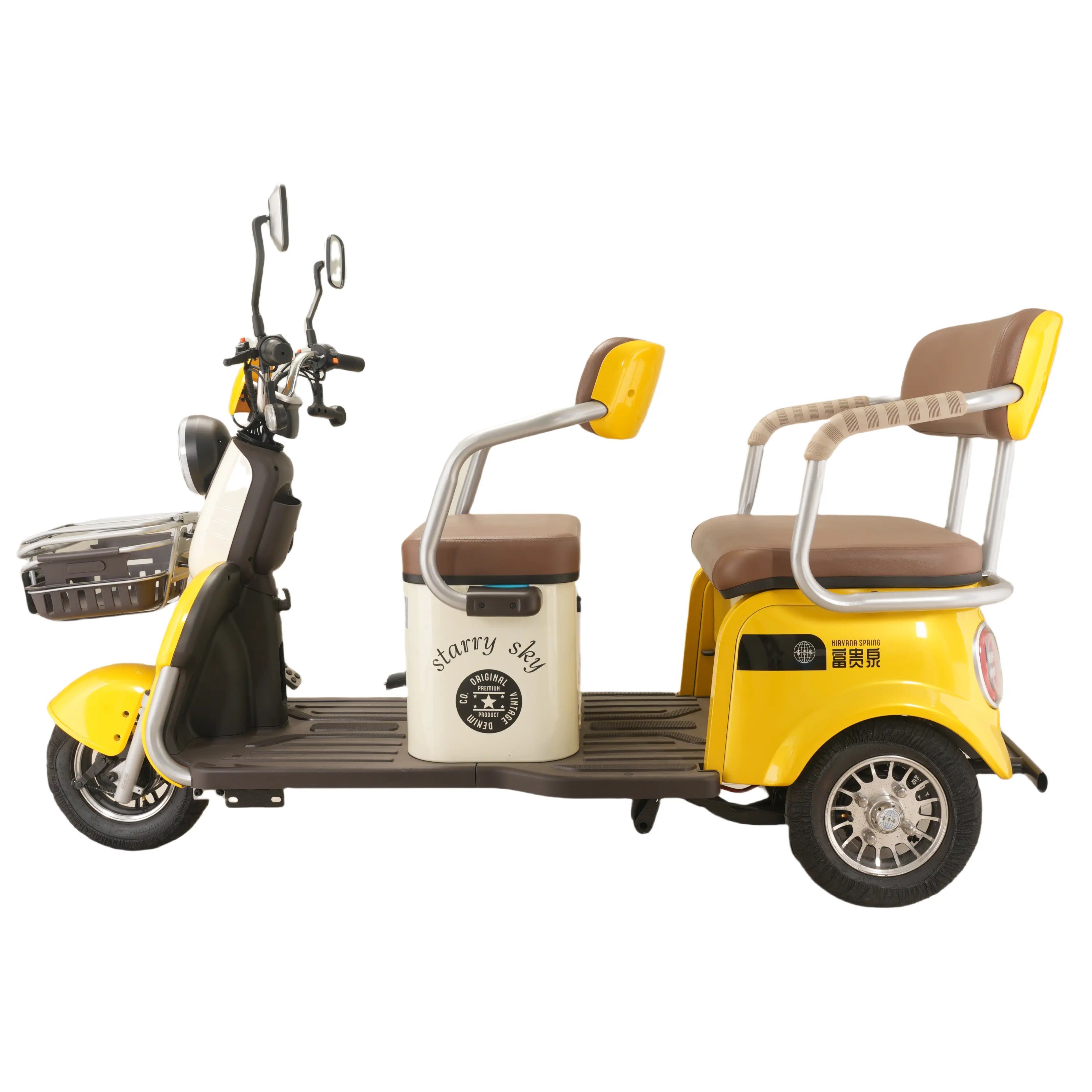 Popar Small-Sized Electric Tricycles for Adts in China 1000w Power for Smooth Riding