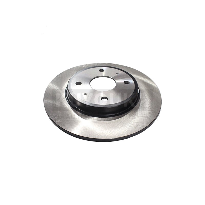 Auto Brake System Parts 13423445-00 Rear Brake Disc EM2E-3502111 for BYD Dolphin Seagull