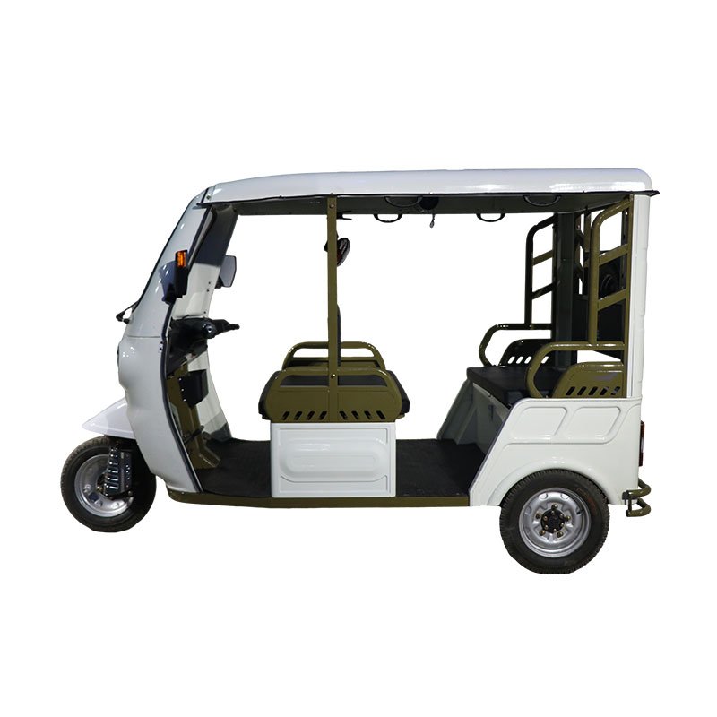QSD 2025 High Power Electric Auto Rickshaw New Model Electric Tuk Tuk for Adult Passenger Transport 1000W Motorized 48v