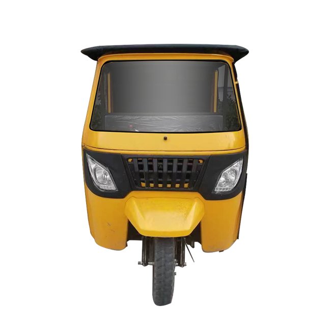 Taxi Transport Gasoline Engine Reverse Trike Petrol Motorcycle 6 Seats China