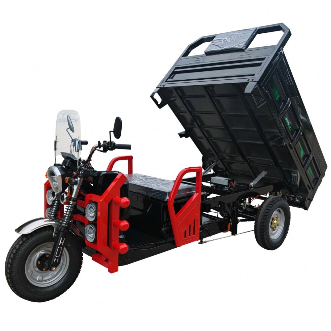 High Quality 300cc 3-Wheel Adult Motorcycle Tricycle Gold Body Spring Steel Box Frame Power Battery Engine Electric Motorized