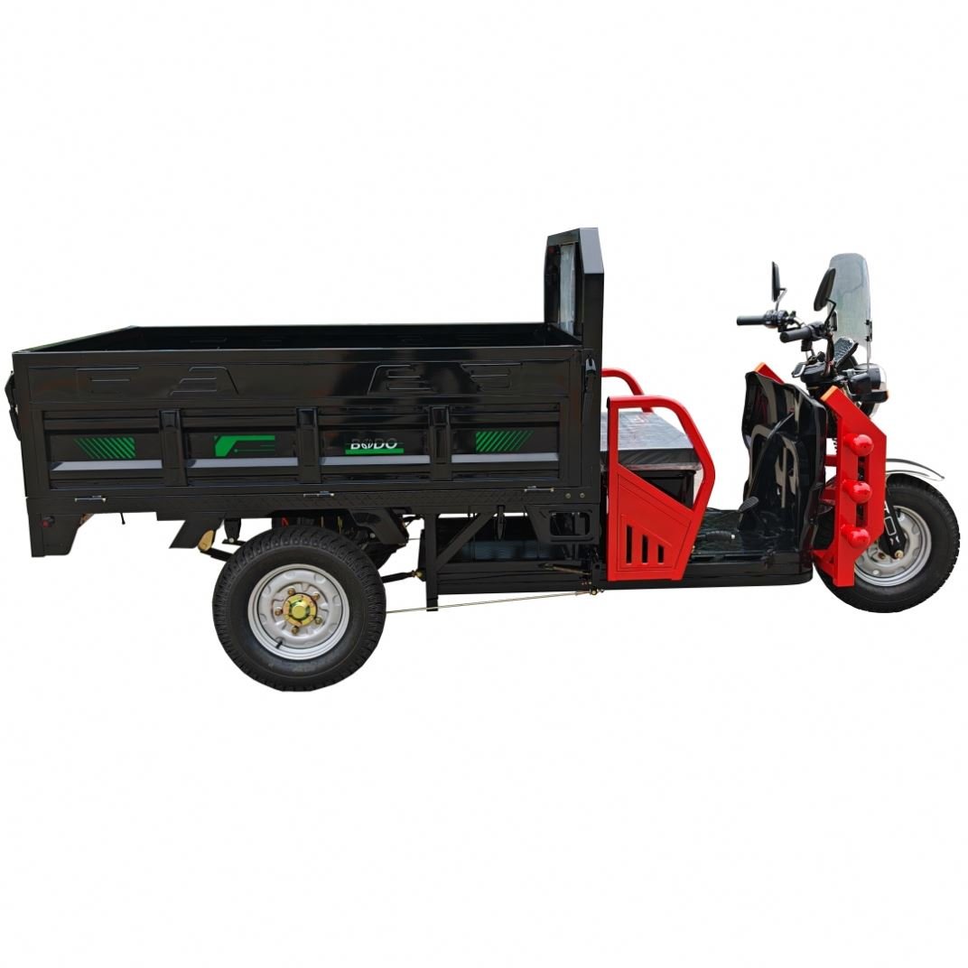 High Quality 300cc 3-Wheel Adult Motorcycle Tricycle Gold Body Spring Steel Box Frame Power Battery Engine Electric Motorized