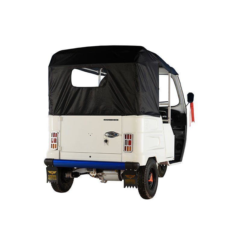 QSD Hot Sale High Quality Electric Auto Charging Rickshaw E Passenger Tuktuk Indian Good Quality 1000w Battery Motorized
