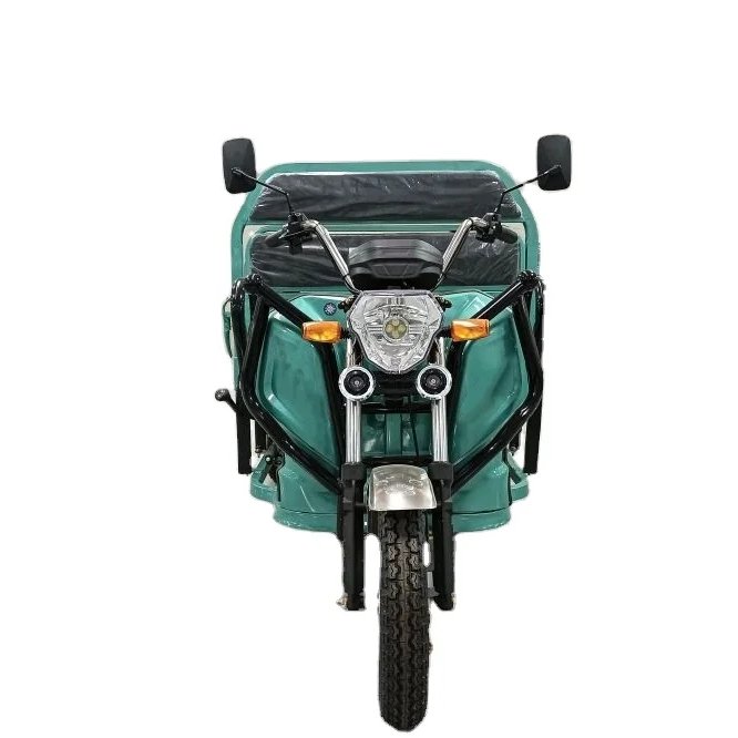 2023 Hot Selling 3 Wheel 1000W 60V Electric Tricycle Cargo for Adult With High Quality Cheap Price