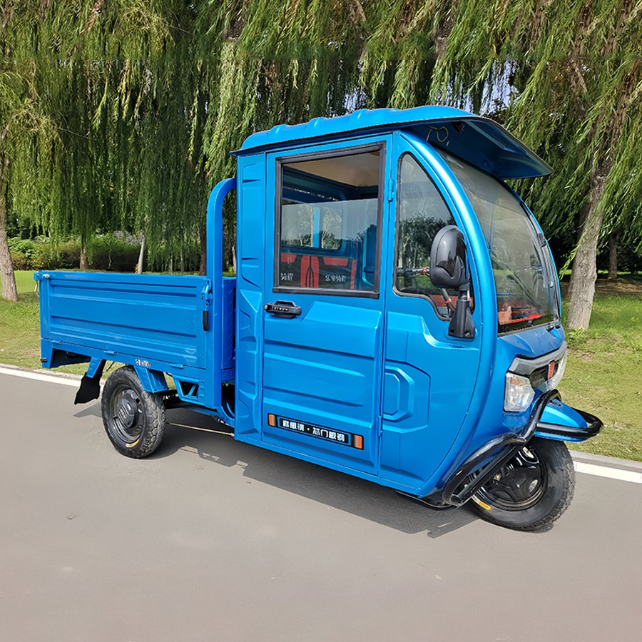 1000w Wholesaler Adults Multi-Functional Convenience Tricycle Electric Bike Electric Cargo Tricycle