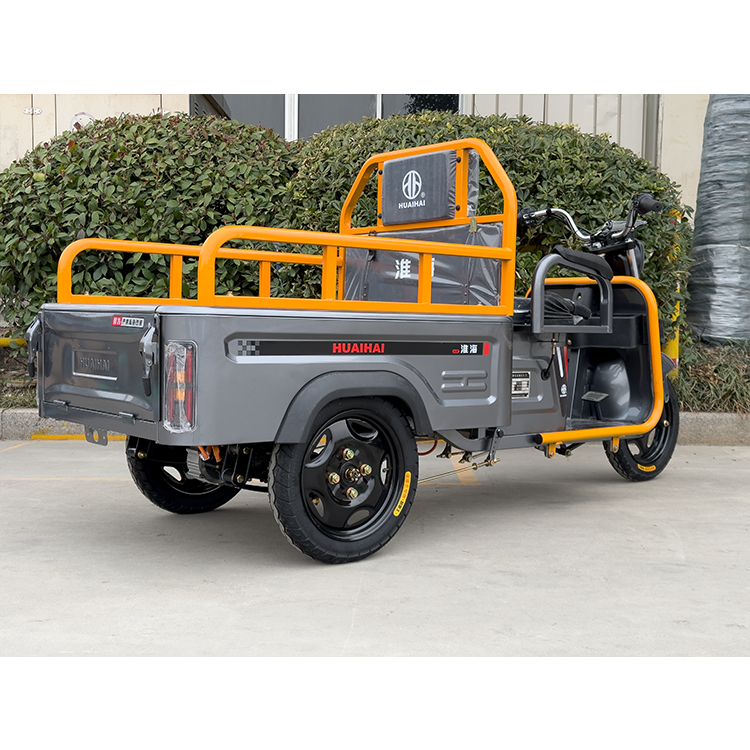 Recommend Low Heat Generation Steel Plate Spring Cargo Tricycle Electric for Household Large Item Moving