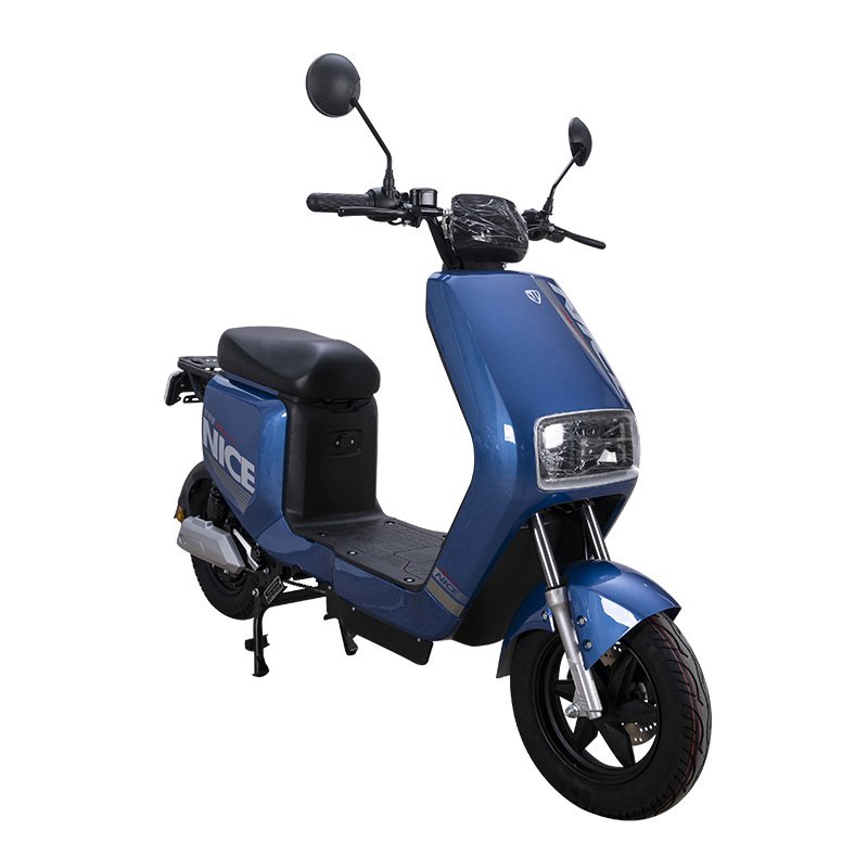 F6 Front Disc Brake Rear Drum Brake Electric Bike Electric Ebike Electric Bicycle for Adults Ebike