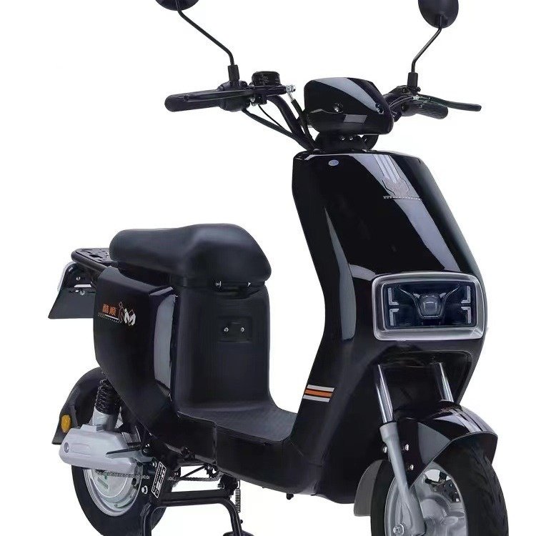 F6 Front Disc Brake Rear Drum Brake Electric Bike Electric Ebike Electric Bicycle for Adults Ebike