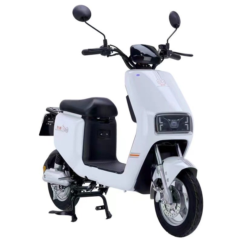 F6 Front Disc Brake Rear Drum Brake Electric Bike Electric Ebike Electric Bicycle for Adults Ebike
