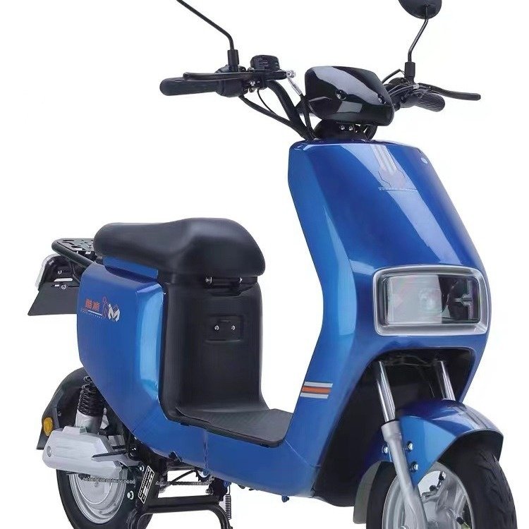 F6 Front Disc Brake Rear Drum Brake Electric Bike Electric Ebike Electric Bicycle for Adults Ebike