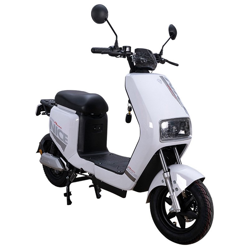F6 Front Disc Brake Rear Drum Brake Electric Bike Electric Ebike Electric Bicycle for Adults Ebike